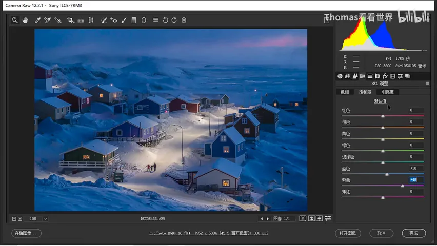 What Does the Raw NatGeo Award Photo Look Like? Shooting and Post-Processing Video · Fig. 11