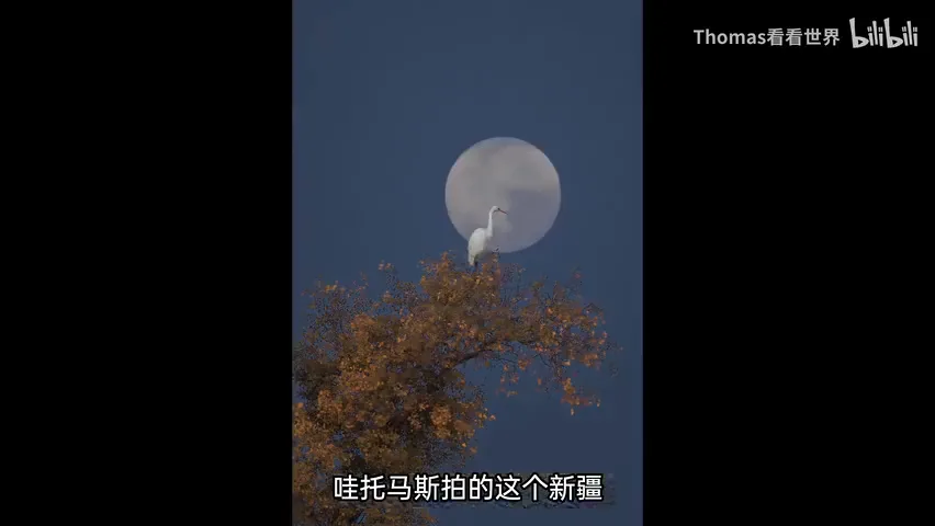 国家地理杂志被传停刊？自然地理摄影出路在哪？ · 图12