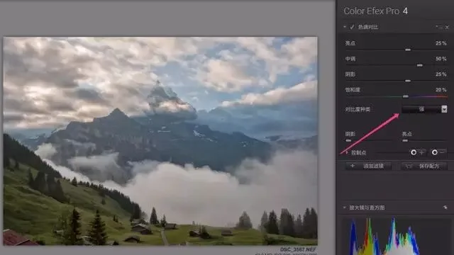 Contrast Demystified: Nik's 4 Contrast Tools Compared · Fig. 25