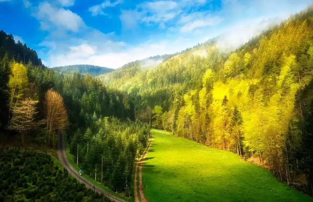 Soft Focus in Post: Make Your Photos Dreamy and Hazy · Fig. 1