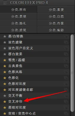让照片带上迷人色调 - 这款Nik滤镜快速制作胶片电影感 · 图2