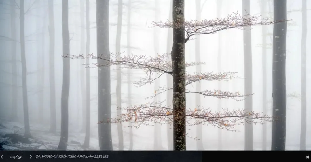 2022 Panoramic Photography Contest Study and Appreciation — A Young Chinese Photographer Wins a Major Award! · Fig. 26