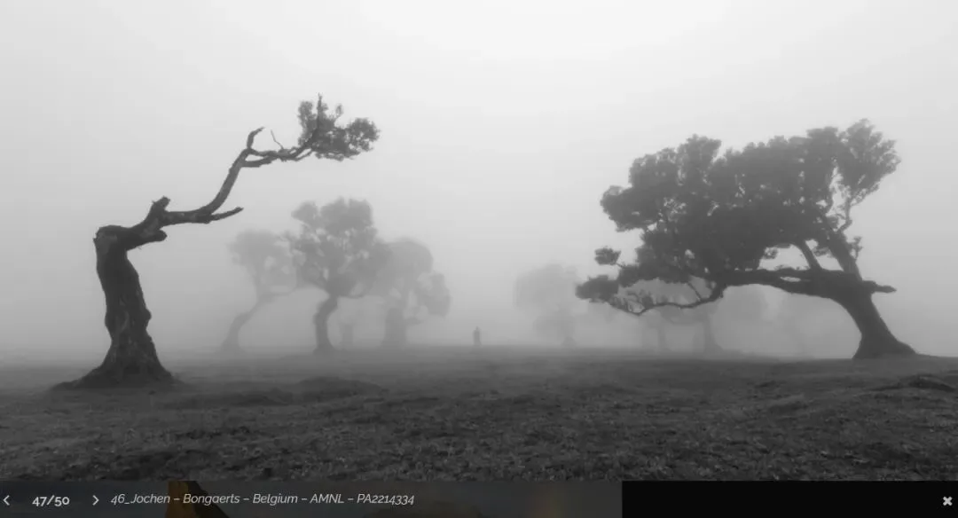 2022 Panoramic Photography Contest Study and Appreciation — A Young Chinese Photographer Wins a Major Award! · Fig. 50