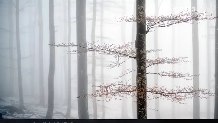 2022 Panoramic Photography Contest Study and Appreciation — A Young Chinese Photographer Wins a Major Award! · Fig. 11