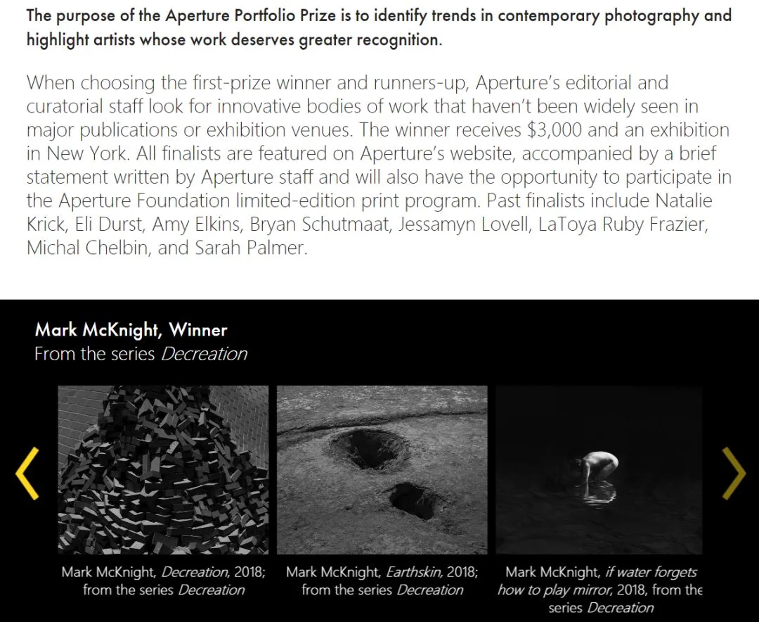 Photography Contests: The Most Detailed Beginner's Guide · Fig. 4