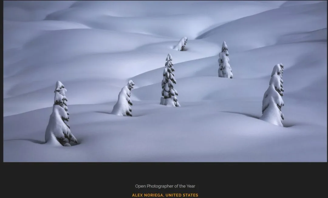 Photography Contests: The Most Detailed Beginner's Guide · Fig. 28