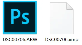 What Format Should You Save Photos In? DNG, TIFF, PSD and More Explained · Fig. 6