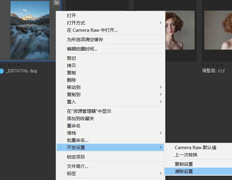 What Format Should You Save Photos In? DNG, TIFF, PSD and More Explained · Fig. 7