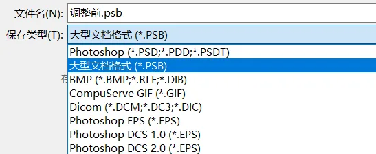 What Format Should You Save Photos In? DNG, TIFF, PSD and More Explained · Fig. 8