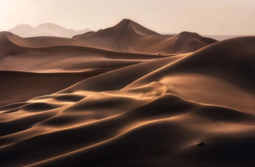 A Cross-Genre Dialogue: Portrait Meets Landscape Photographer · Fig. 2