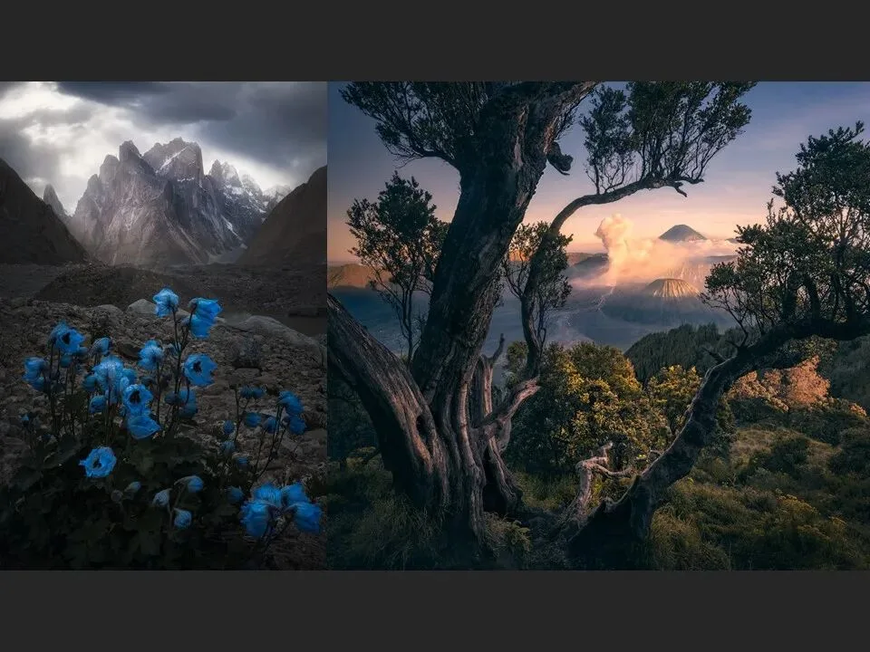 A Cross-Genre Dialogue: Portrait Meets Landscape Photographer · Fig. 37