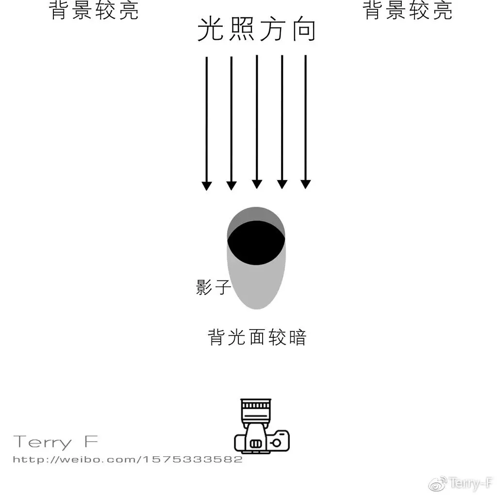 Portrait Lighting Essentials in One Article · Fig. 10