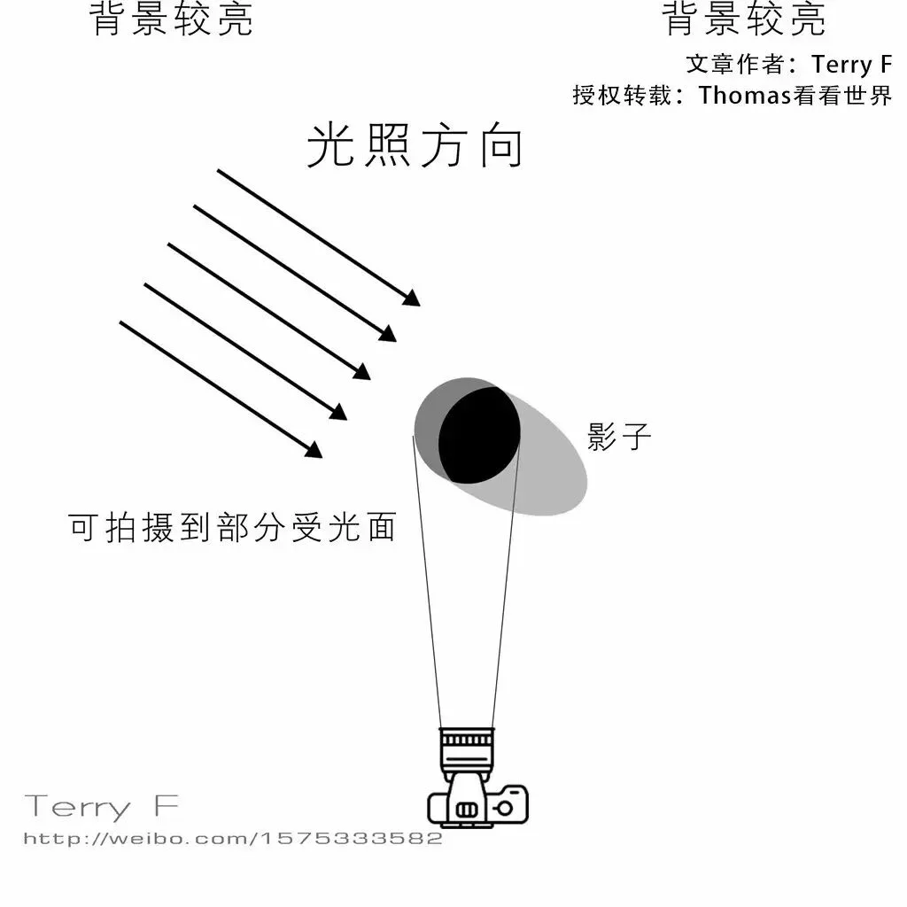 Portrait Lighting Essentials in One Article · Fig. 12