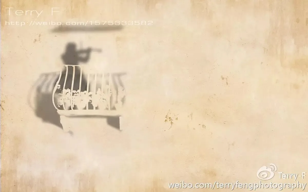 推荐 | 人像摄影自然光全攻略 · 图27