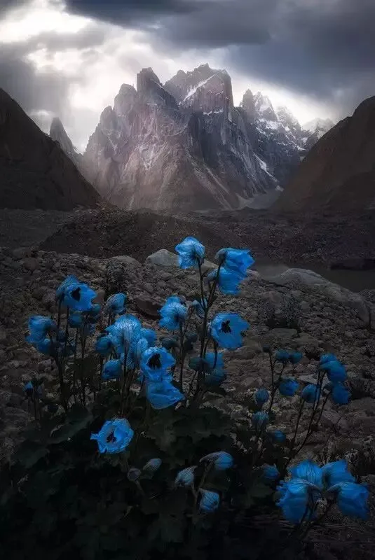 摄影后期，技术并不是最重要的！ · 图2