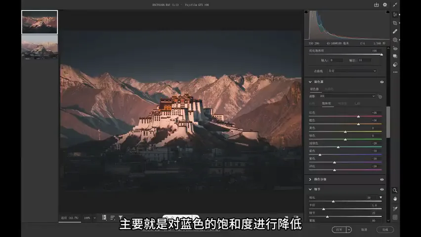 From Tourist Snap to Art Photo: Post-Processing Ideas for the Potala Palace · Fig. 9