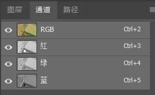 深入浅出理解Photoshop通道，学会调色和选区新技能 · 图3