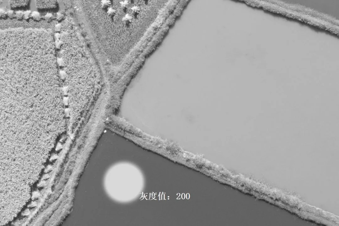深入浅出理解Photoshop通道，学会调色和选区新技能 · 图4