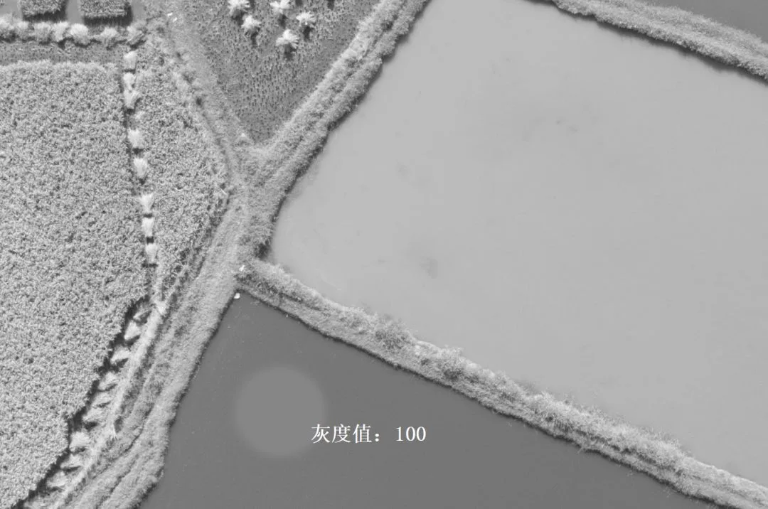深入浅出理解Photoshop通道，学会调色和选区新技能 · 图5