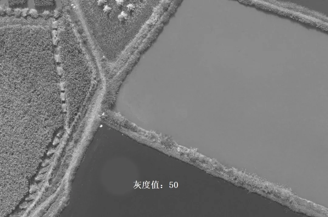 深入浅出理解Photoshop通道，学会调色和选区新技能 · 图6