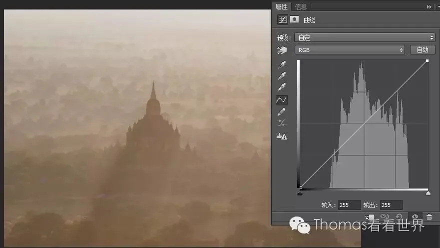 PS Curves (Part 1): Refresh Your Photo's Tonality with Curves · Fig. 10
