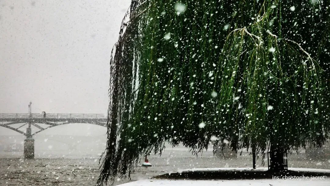 雨雪天这样拍更有质感！如何拍出清晰的雨点/雪花？ · 图21