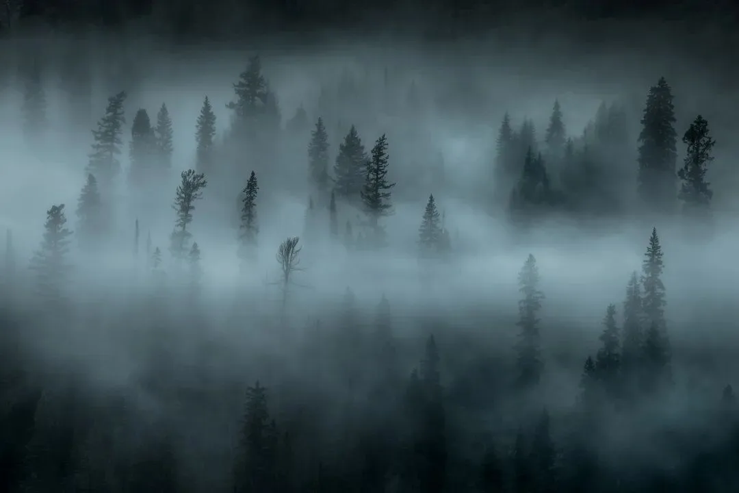 风光摄影高手对话 | Ryan Dyar：艺术创作应是自由的 · 图7