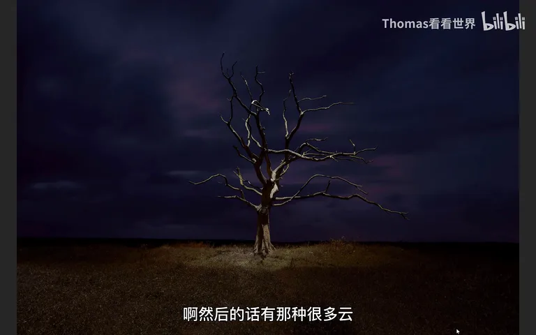 2022索尼世界摄影大赛大奖公布！摄影师能从中学到哪些？ · 图4