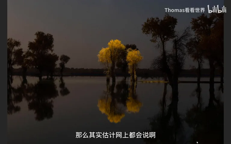 2022索尼世界摄影大赛大奖公布！摄影师能从中学到哪些？ · 图5