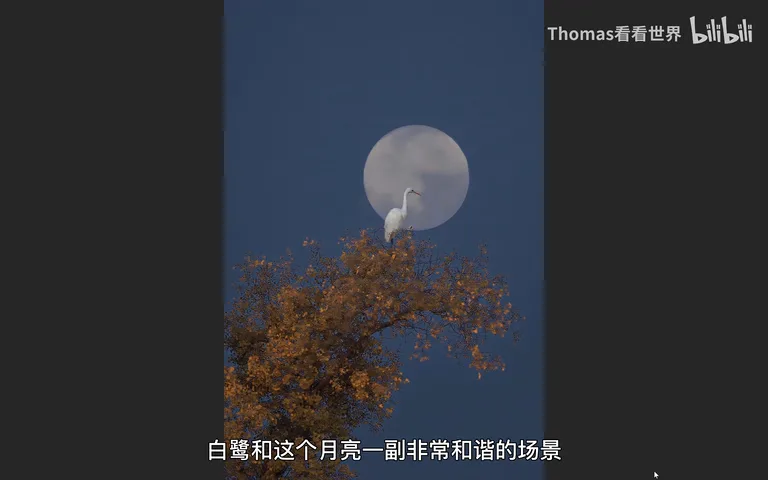 2022索尼世界摄影大赛大奖公布！摄影师能从中学到哪些？ · 图6