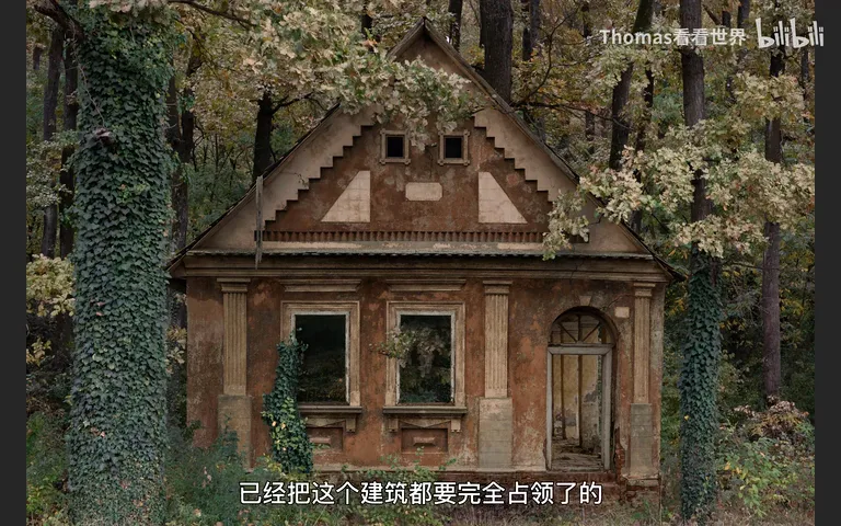 2022索尼世界摄影大赛大奖公布！摄影师能从中学到哪些？ · 图13