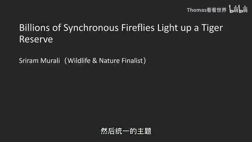 摄影组照可以怎么拍？2023索尼世界摄影大赛获奖作品赏析（专业组） · 图6