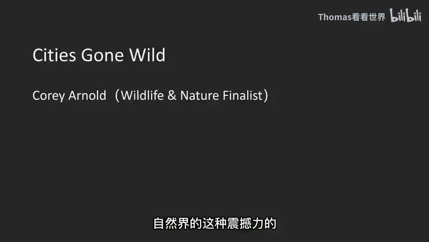 摄影组照可以怎么拍？2023索尼世界摄影大赛获奖作品赏析（专业组） · 图8