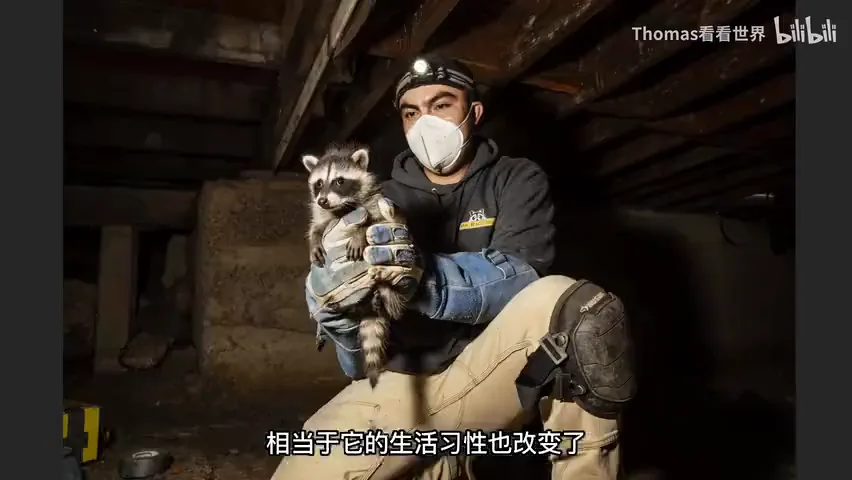 摄影组照可以怎么拍？2023索尼世界摄影大赛获奖作品赏析（专业组） · 图9