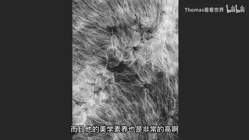 摄影组照可以怎么拍？2023索尼世界摄影大赛获奖作品赏析（专业组） · 图11