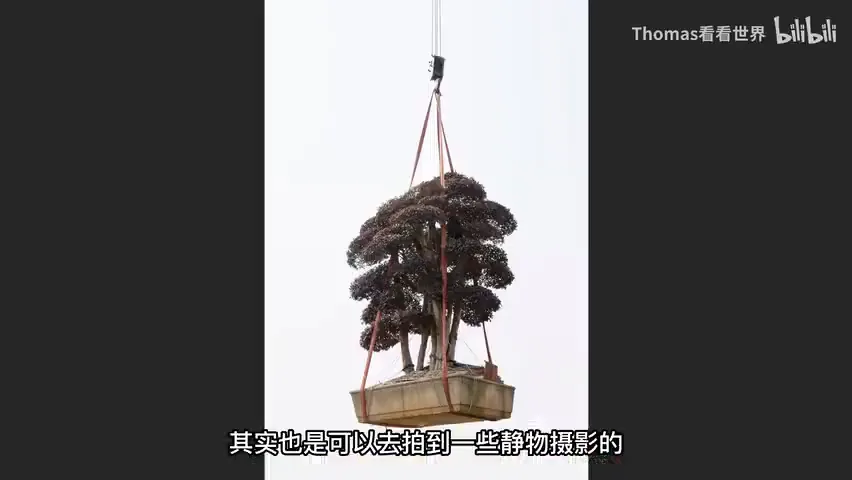 摄影组照可以怎么拍？2023索尼世界摄影大赛获奖作品赏析（专业组） · 图14