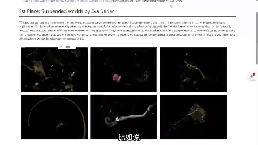 中国摄影师获奖！2024索尼世界摄影大赛专业组赏析！ · 图3