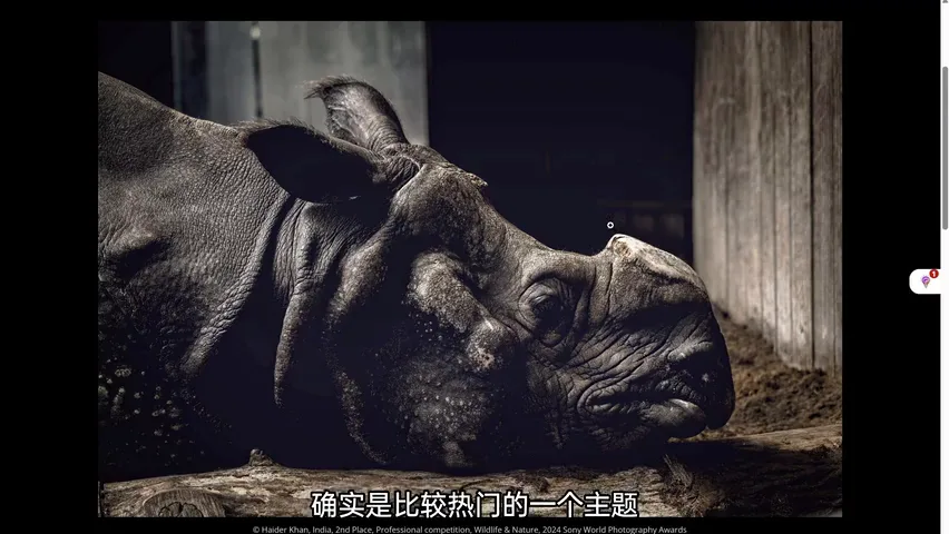 中国摄影师获奖！2024索尼世界摄影大赛专业组赏析！ · 图4
