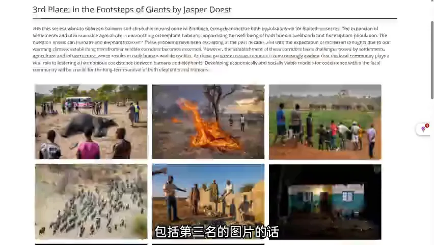 中国摄影师获奖！2024索尼世界摄影大赛专业组赏析！ · 图5