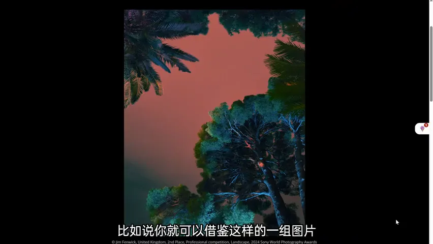 中国摄影师获奖！2024索尼世界摄影大赛专业组赏析！ · 图7