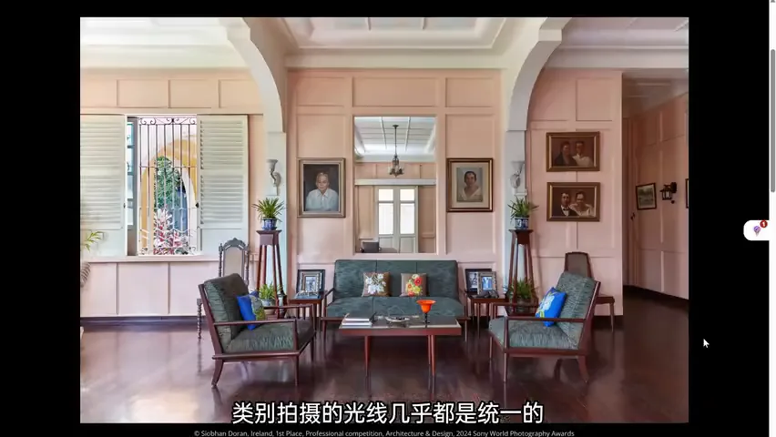 中国摄影师获奖！2024索尼世界摄影大赛专业组赏析！ · 图9