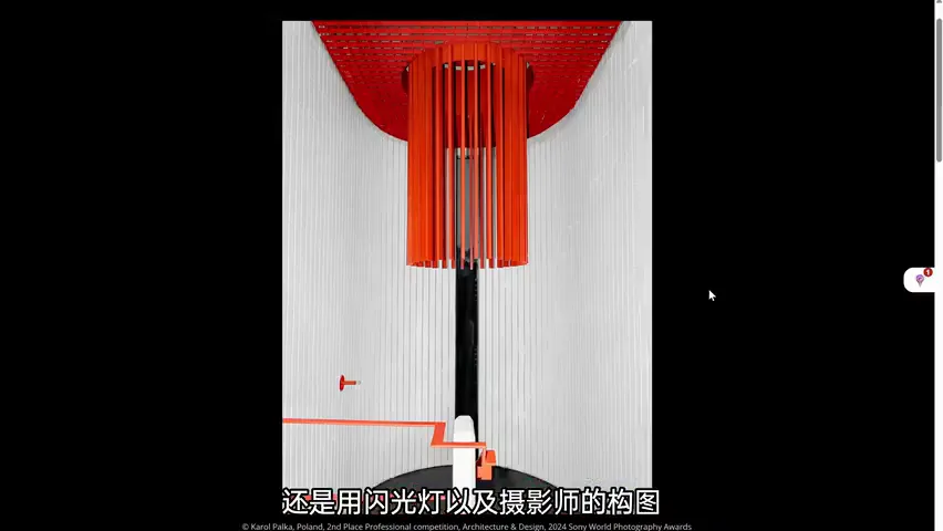 中国摄影师获奖！2024索尼世界摄影大赛专业组赏析！ · 图10