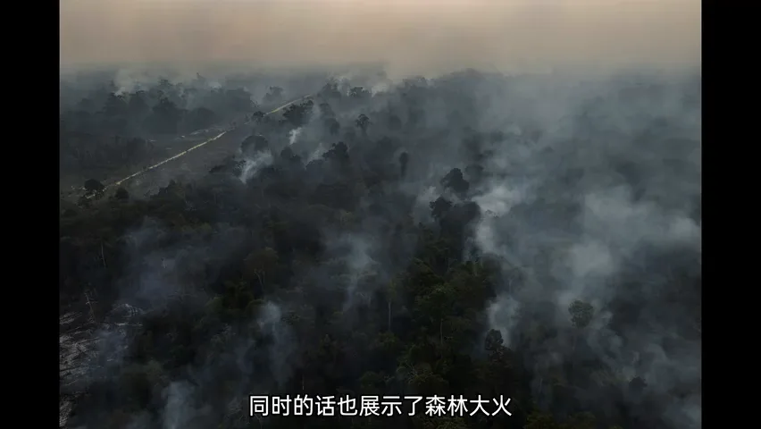 炫光"废片"也能获奖？2025索尼世界摄影大赛解读分享！ · 图8