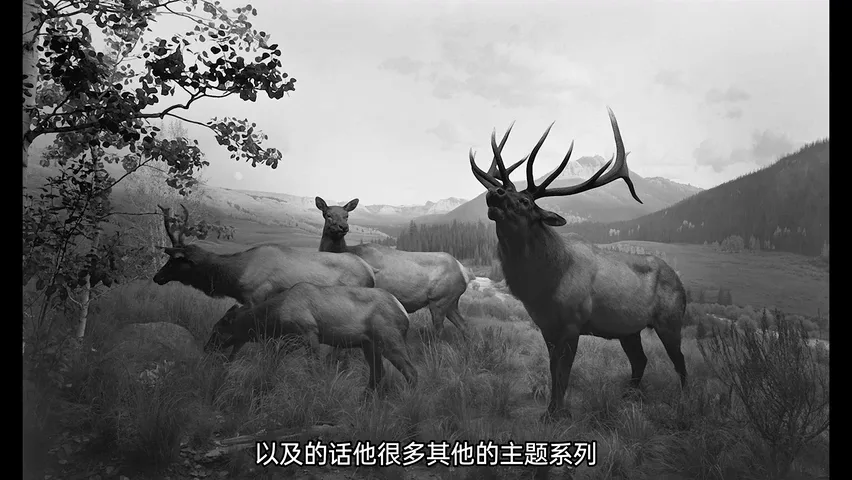 亚洲最贵摄影师？我从杉本博司那获得的三点启发！ · 图9