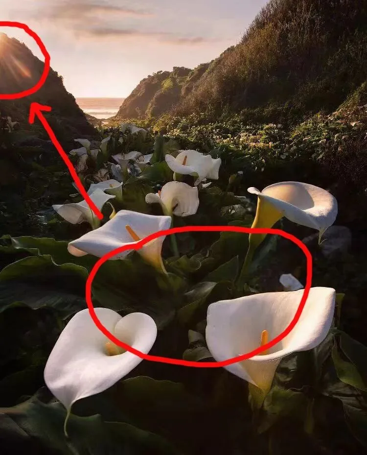 如何后期制作太阳炫光 · 图5