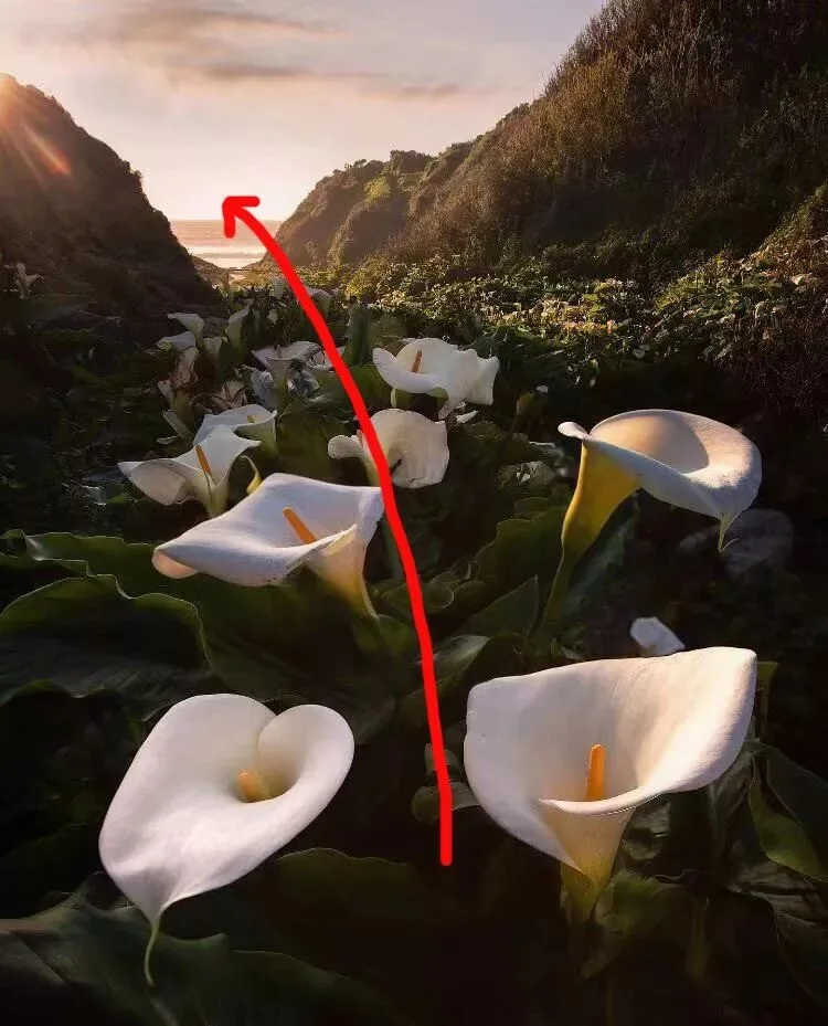 如何后期制作太阳炫光 · 图6