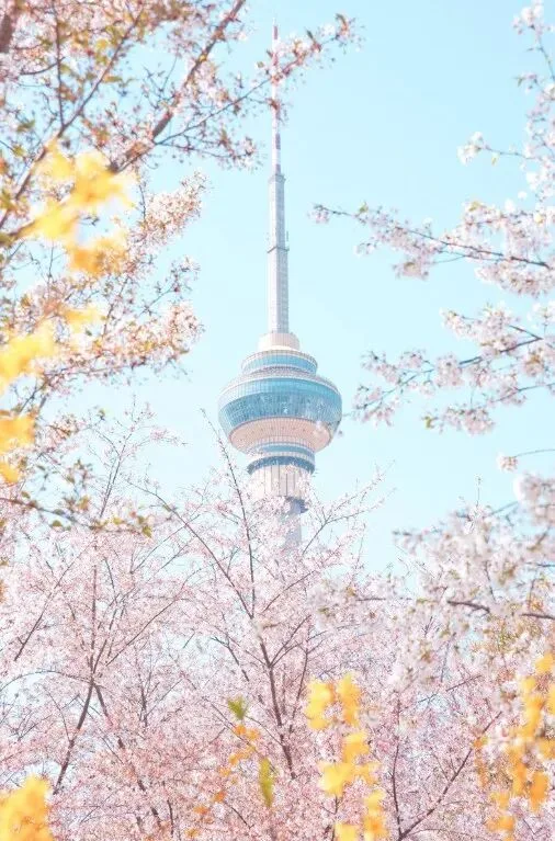 These Beautiful Places Are All in China? So Cool! · Fig. 30