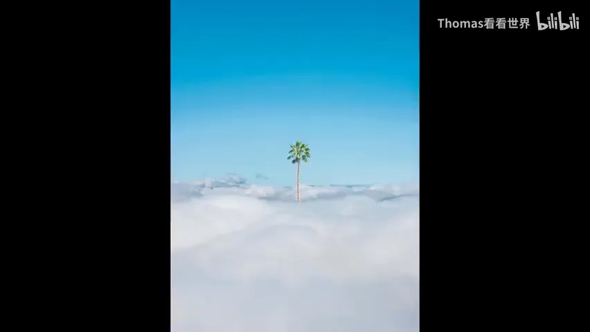 简直绝了！推荐3位把梦境融入风景的摄影师~ · 图12