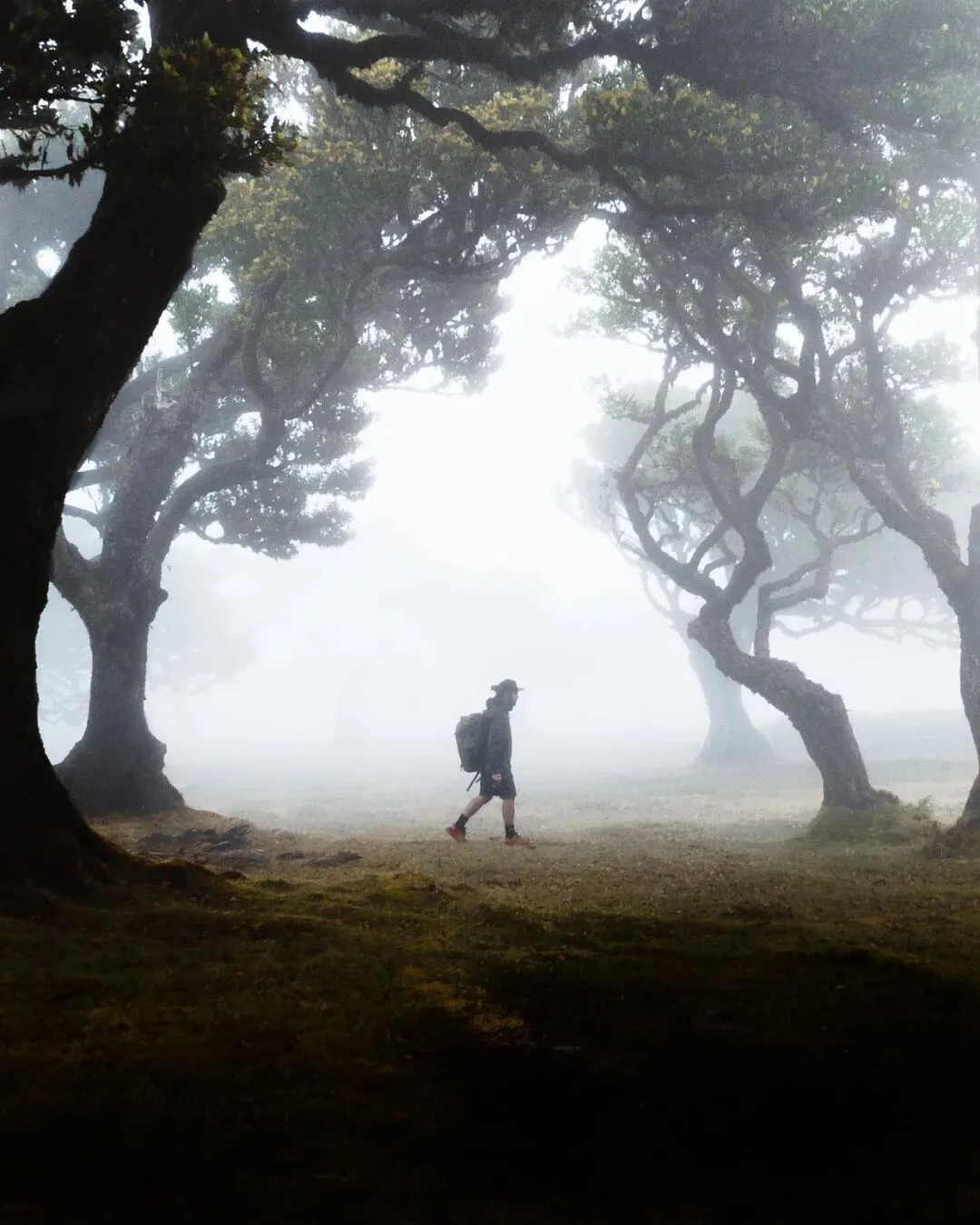 Low-Saturation Photos Are Beautiful Too! Recommending 3 Serene-Toned Landscape Photographers (Aesthetic Expansion) · Fig. 25