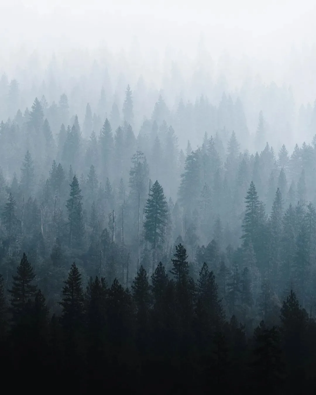 Low-Saturation Photos Are Beautiful Too! Recommending 3 Serene-Toned Landscape Photographers (Aesthetic Expansion) · Fig. 32